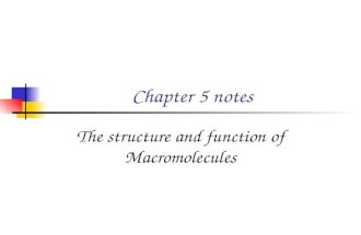 Chapter 5 notes The structure and function of Macromolecules.