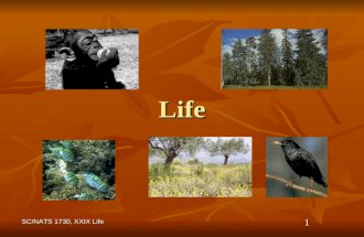 SC/NATS 1730, XXIX Life 1 Life. 2 What is Life? Problems: Problems: Complexity Complexity Replication Replication Anthropocentrism Anthropocentrism.