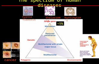 The spectrum of human diseases Cystic fibrosis thalassemiaHuntington’s cancer