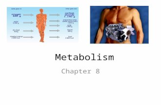 Metabolism Chapter 8. I. Thermodynamics Metabolism All the chemical reactions in an organism.