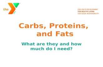 Carbs, Proteins, and Fats What are they and how much do I need?