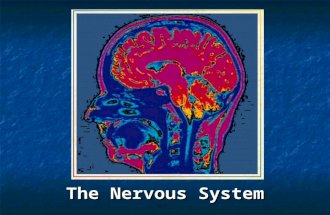 The Nervous System. I. Introduction The basic functional unit of the nervous system is the neuron Neuron  Specialized cell that transmits information.