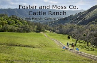 Foster and Moss Co. Cattle Ranch Rana Creek Ranch, Carmel Valley, California Tarin Daniel .