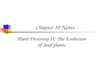 Chapter 30 Notes Plant Diversity II: The Evolution of Seed plants.
