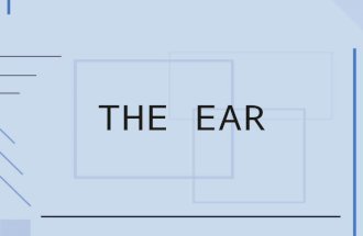 THE EAR. Dr.Vohra2 The ear consists of the external ear, the middle ear, or tympanic cavity, and the internal ear, or labyrinth, the last containing the.
