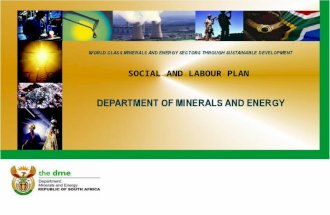 SOCIAL AND LABOUR PLAN. Overview of the Presentation DME Community Development Perspective Best Practice Procurement Housing and Living Conditions Conclusion.