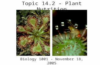 Topic 14.2 - Plant Nutrition Biology 1001 - November 18, 2005.