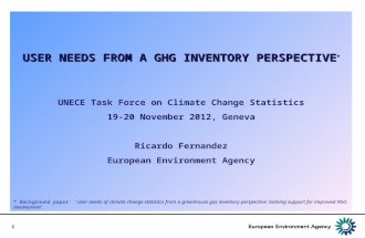 1 U SER NEEDS FROM A GHG INVENTORY PERSPECTIVE * UNECE Task Force on Climate Change Statistics 19-20 November 2012, Geneva Ricardo Fernandez European Environment.