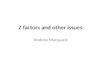 Z factors and other issues Andrew Marquard.