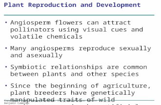 Plant Reproduction and Development Angiosperm flowers can attract pollinators using visual cues and volatile chemicals Many angiosperms reproduce sexually.