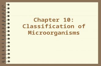 Chapter 10: Classification of Microorganisms. Phylogeny: The Study of Evolutionary Relationships of Living Organisms u Over 1.5 million different organisms.