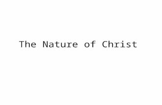 The Nature of Christ. Intro Important subject, caused schism in 451 Subject was taught by His Holiness Pope Shenouda III in 1984 The First Theological.