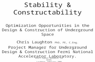 Draft Layout Guidance for DUSEL Laughton, February 2006 Stability & Constructability Optimization Opportunities in the Design & Construction of Underground.
