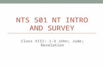 NTS 501 NT INTRO AND SURVEY Class XIII: 1-3 John; Jude; Revelation.