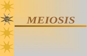 MEIOSIS. Meiosis Sexual Reproduction (two parents)