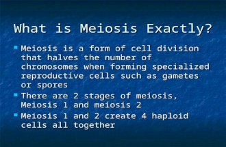 What is Meiosis Exactly? Meiosis is a form of cell division that halves the number of chromosomes when forming specialized reproductive cells such as gametes.
