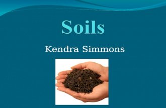 Kendra Simmons. What is soil? Foundation for all land Biomes.