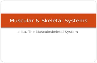 A.k.a. The Musculoskeletal System Muscular & Skeletal Systems.