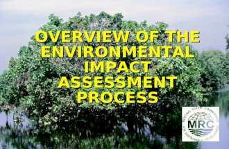 OVERVIEW OF THE ENVIRONMENTAL IMPACT ASSESSMENT PROCESS.