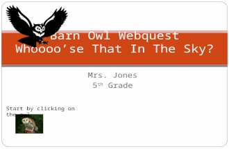 Mrs. Jones 5 th Grade Barn Owl Webquest Whoooo’se That In The Sky? Start by clicking on the owl.