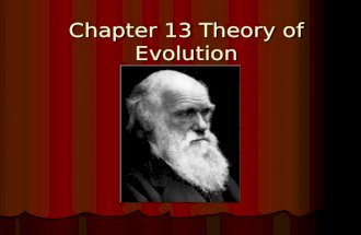 Chapter 13 Theory of Evolution. Vocabulary for Ch. 13 Natural Selection Natural Selection Vestigial Structure Vestigial Structure Homologous Structure.
