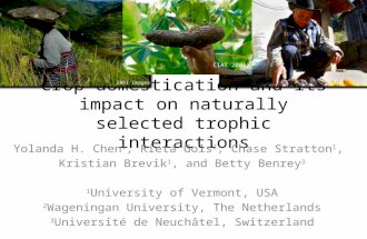Crop domestication and its impact on naturally selected trophic interactions Yolanda H. Chen 1, Rieta Gols 2, Chase Stratton 1, Kristian Brevik 1, and.