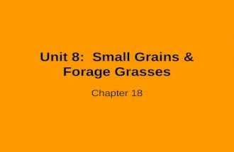 Unit 8: Small Grains & Forage Grasses Chapter 18.
