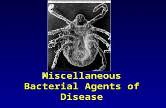 1 Miscellaneous Bacterial Agents of Disease. 2 Spirochetes Gram negative human pathogens Treponema Leptospira Borrella.