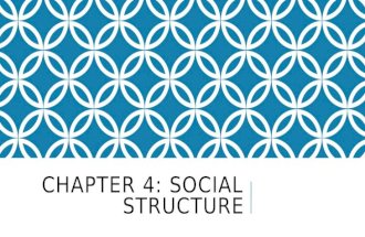 CHAPTER 4: SOCIAL STRUCTURE. SECTION 1: BUILDING BLOCKS OF SOCIAL STRUCTURE.