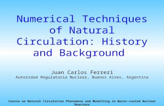 Numerical Techniques of Natural Circulation: History and Background Juan Carlos Ferreri Autoridad Regulatoria Nuclear, Buenos Aires, Argentina Course on.
