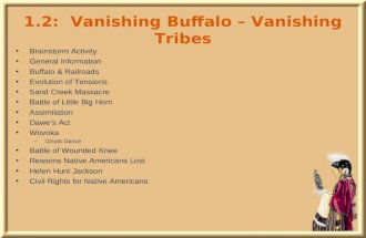 1.2: Vanishing Buffalo – Vanishing Tribes Brainstorm Activity General Information Buffalo & Railroads Evolution of Tensions Sand Creek Massacre Battle.