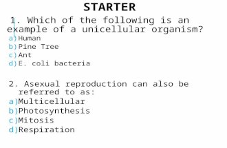 STARTER 1. Which of the following is an example of a unicellular organism? a)Human b)Pine Tree c)Ant d)E. coli bacteria 2. Asexual reproduction can also.