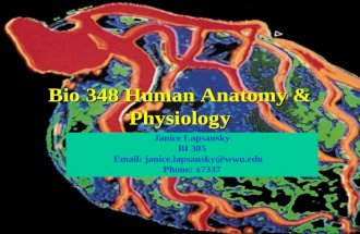 Bio 348 Human Anatomy & Physiology Janice Lapsansky BI 305 Email: janice.lapsansky@wwu.edu Phone: x7337.