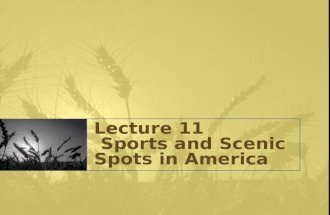 Lecture 11 Sports and Scenic Spots in America. Sports 3 Main Ball Games in America: The American Football Baseball Basketball (created by James Naismith)