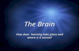 The Brain How does learning take place and where is it stored?