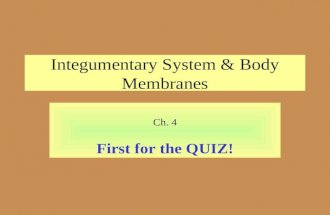 Integumentary System & Body Membranes Ch. 4 First for the QUIZ!