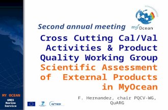GMES Marine Service MY OCEAN Cross Cutting Cal/Val Activities & Product Quality Working Group Scientific Assessment of External Products in MyOcean Second.