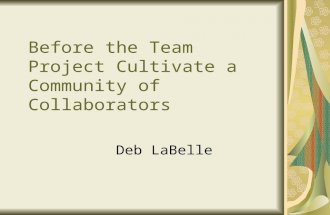 Before the Team Project Cultivate a Community of Collaborators Deb LaBelle.