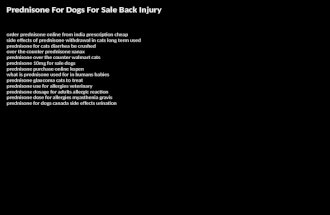 Prednisone For Dogs For Sale Back Injury order prednisone online from india prescription cheap side effects of prednisone withdrawal in cats long term.