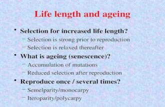 Life length and ageing Selection for increased life length? –Selection is strong prior to reproduction –Selection is relaxed thereafter What is ageing.