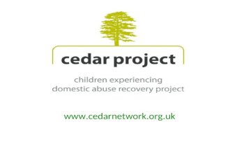 Www.cedarnetwork.org.uk. What caught our attention? Supporting mother to support child Gendered analysis i.e. DA being a cause & effect of inequality.