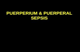 PUERPERIUM & PUERPERAL SEPSIS. PUERPERIUM is the time from the third stage of labor (delivery of the placenta) tell reproductive organs return to their.