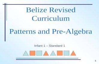 Belize Revised Curriculum Patterns and Pre-Algebra Infant 1 – Standard 1 1.