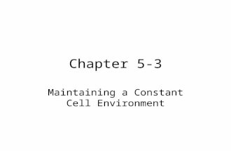 Chapter 5-3 Maintaining a Constant Cell Environment.
