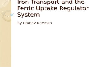 Iron Transport and the Ferric Uptake Regulator System By Pranav Khemka.