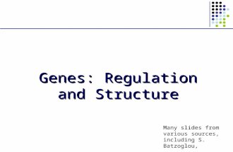 Genes: Regulation and Structure Many slides from various sources, including S. Batzoglou,