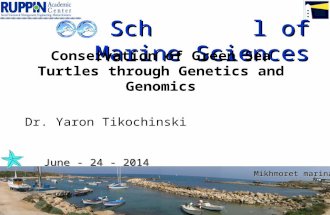 Sch l of Marine Sciences June - 24 - 2014 Mikhmoret marina Conservation of Green Sea Turtles through Genetics and Genomics Dr. Yaron Tikochinski.