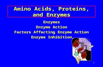 1 Amino Acids, Proteins, and Enzymes Enzymes Enzyme Action Factors Affecting Enzyme Action Enzyme Inhibition.
