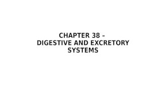 CHAPTER 38 – DIGESTIVE AND EXCRETORY SYSTEMS. 38-1 – Food and Nutrition.
