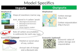 Model Specifics Maps of nearshore marine veg. Amt. stored in 4 carbon ‘pools’ Aboveground biomass Belowground biomass Sediments Dead organic matter Rate.